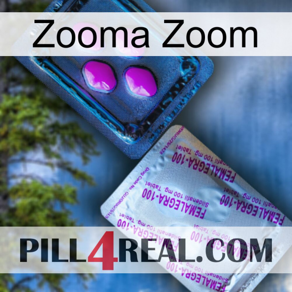 Zooma Zoom 37.jpg